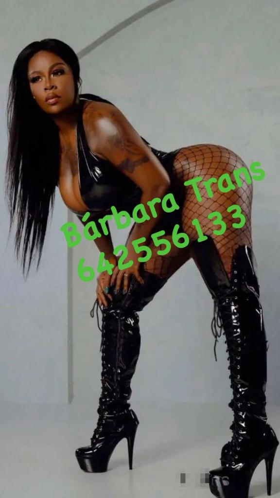 Transexual en Navarra: 