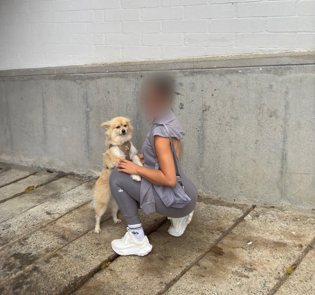 Chica busca chico en Cuenca: 