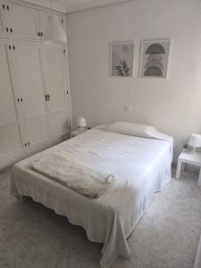 668564113:  en Cádiz