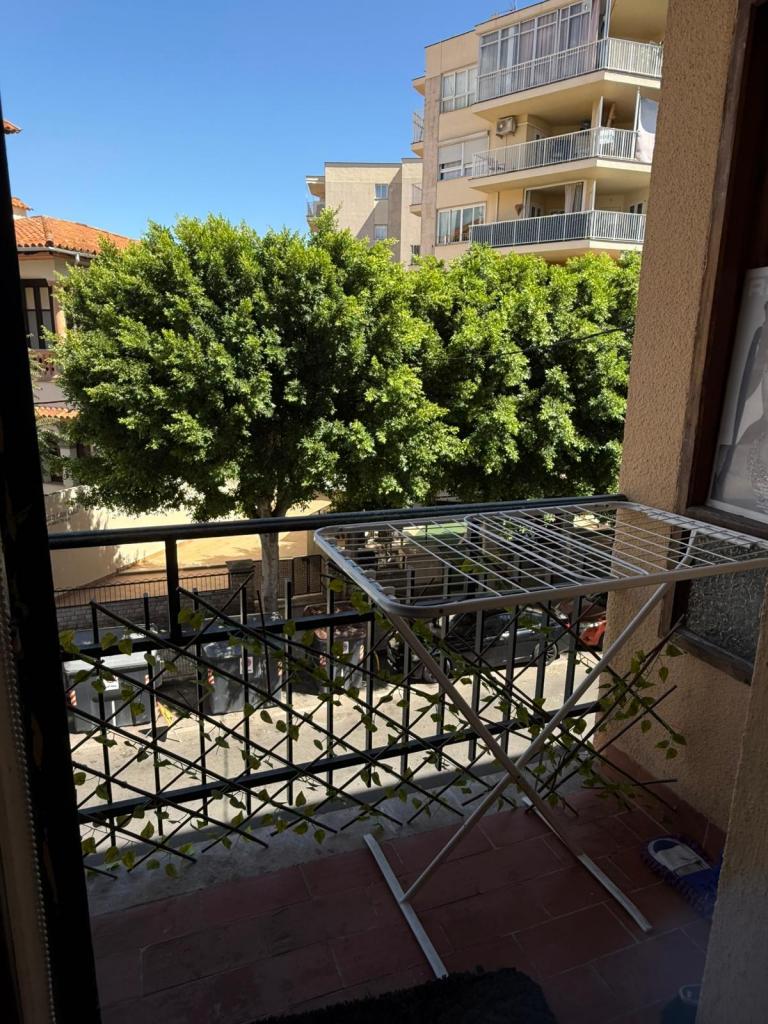 652330881:  en Mallorca