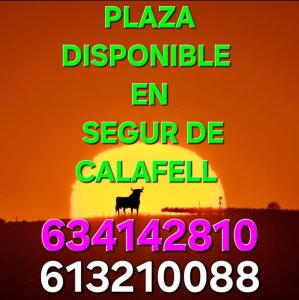 634142810:  en Barcelona