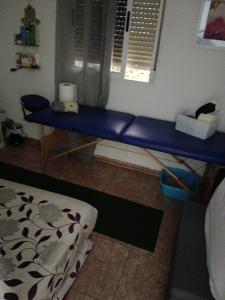 Chico busca chica en Alicante: 