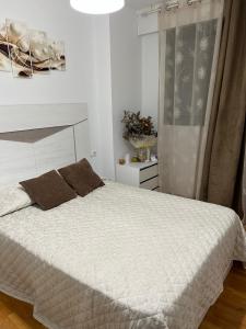 634494079:  en Navarra