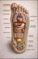 622302111: Chica busca chico en Valencia