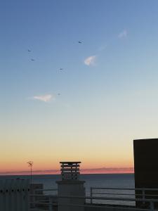 624372423: Chico busca chica en Mallorca