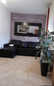 645617226:  en Toledo