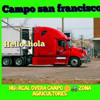 654957869: Chica busca chico en Almería