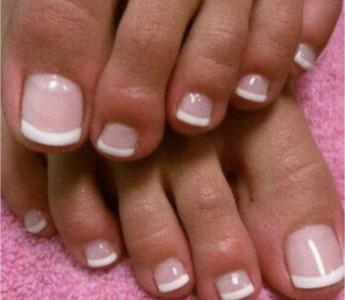 613127277: Transexual en Palencia