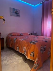 651771602:  en Alicante