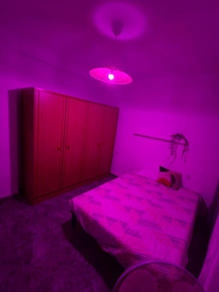 631188832:  en Alicante