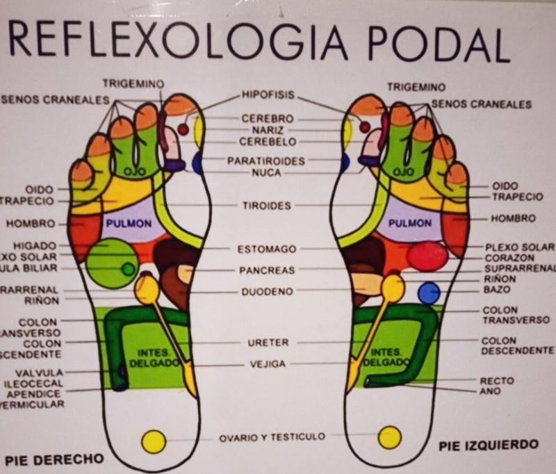 631587515: Chica busca chico en Barcelona