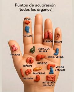 622302111: Chica busca chico en Valencia