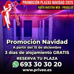 614740819:  en Toledo