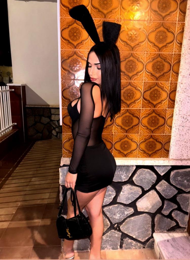 Transexual en Alicante: Transexuales y Travestis