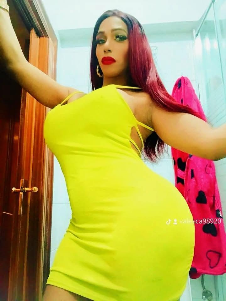 632900023: Transexual en Valencia