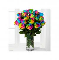 646062202:  en Las Palmas