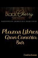 685084084:  en Las Palmas