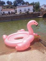 665901426:  en Sevilla