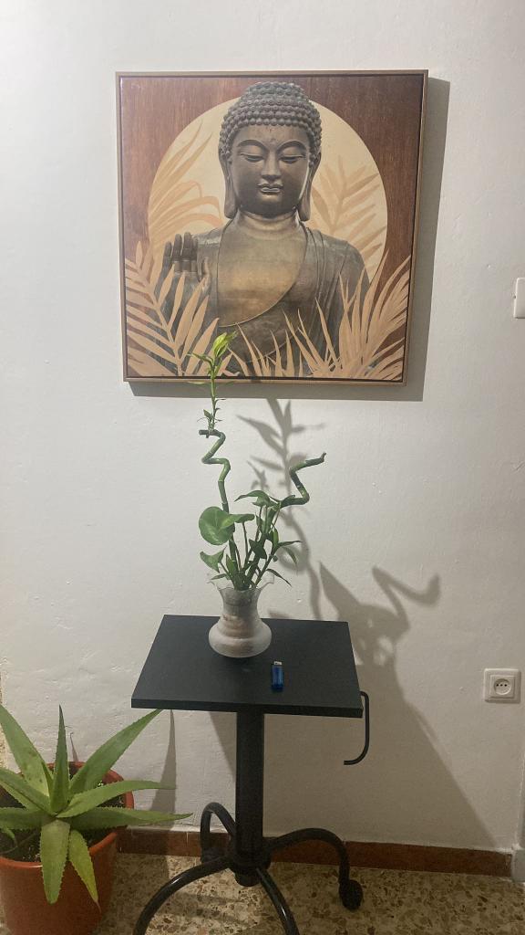 604358502:  en Zaragoza