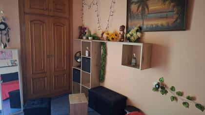 699310211:  en Alicante