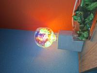 699310211:  en Alicante