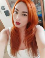 613410281: Transexual en Alicante