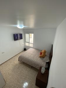 601541706:  en Alicante