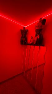 611213186:  en Las Palmas